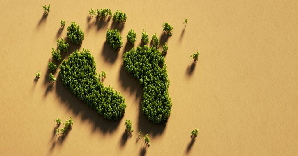 impronta-di-piedi-formata-da-alberi-simbolo-di-sostenibilità
